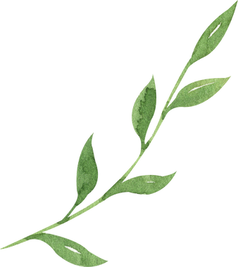 Green leaf watercolor illustration